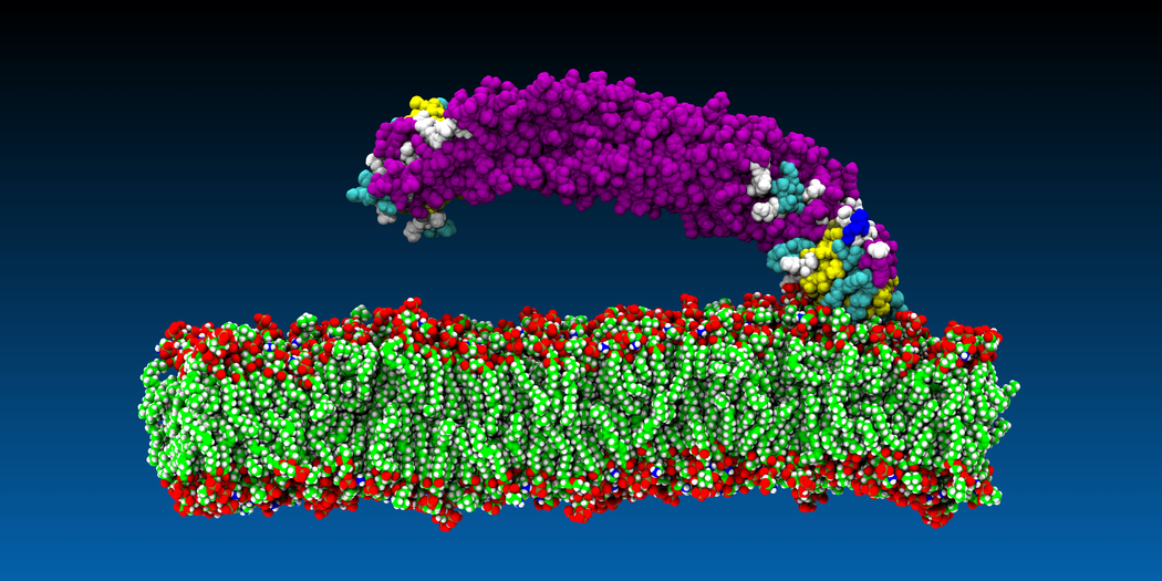 How to make images for publication using VMD - Computational Biophysics ...